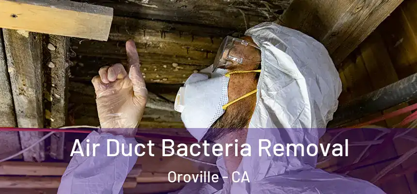 Air Duct Bacteria Removal Oroville - CA