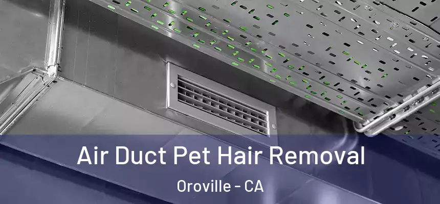 Air Duct Pet Hair Removal Oroville - CA