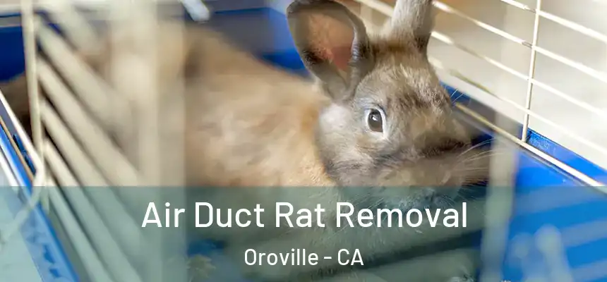 Air Duct Rat Removal Oroville - CA