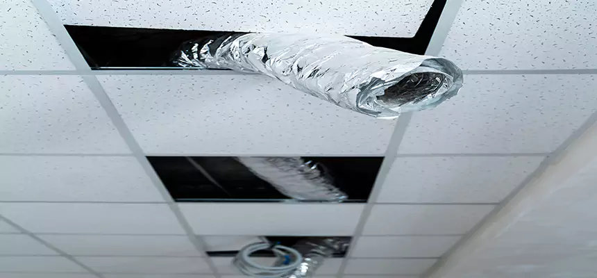 Our Air Duct Pet Hair Removal Services in Oroville, CA