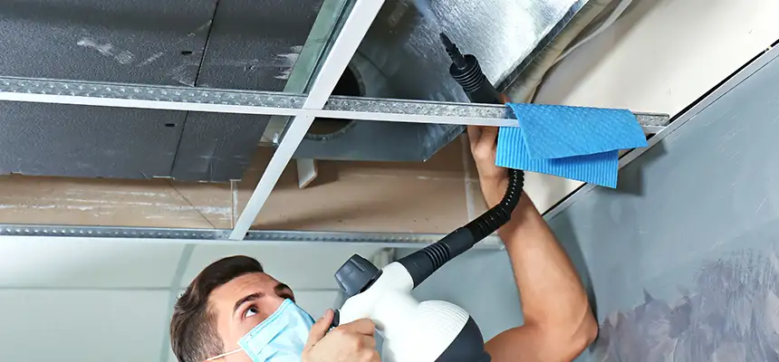 Our Air Duct Rodent Removal Services in Oroville, CA