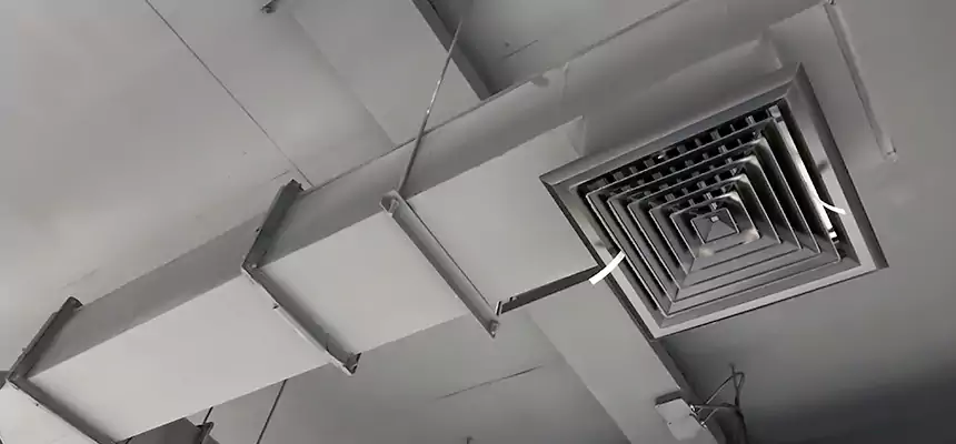 Our Rodent Droppings In Vents Services in Oroville, CA