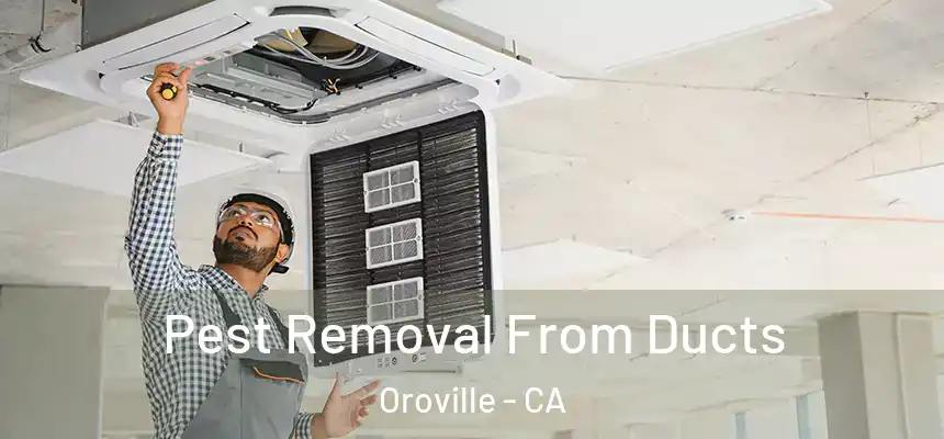 Pest Removal From Ducts Oroville - CA