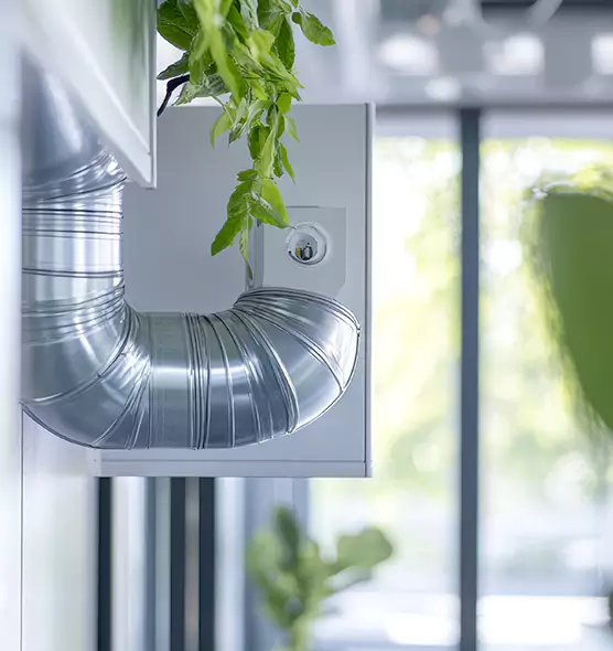 Professional Eco-Friendly Duct Cleaning Services in Oroville, CA