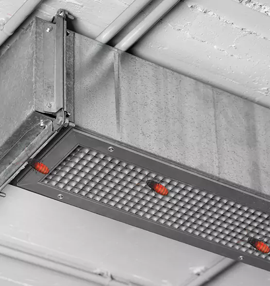 Affordable Insect Removal from Air Ducts in Oroville, CA